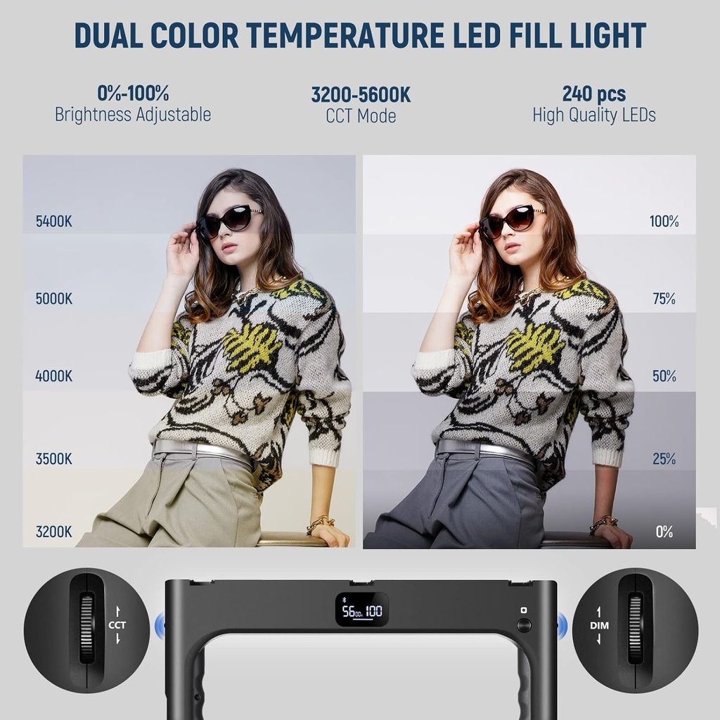 NEEWER A111 II Smartphone Video Rig with Light Kit, Support Vertical Shoot 10102073