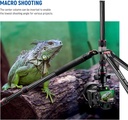 NEEWER Upgraded 200cm Carbon Fiber Camera Tripod Monopod with Telescopic 2 Section Center Axes 10101310