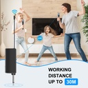 Puluz PU644B 1 To 2 Wireless Microphones with LED Display, 6.35mm Transmitter (Black)