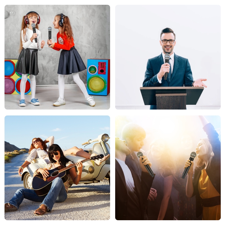 Puluz PU644B 1 To 2 Wireless Microphones with LED Display, 6.35mm Transmitter (Black)