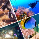 Puluz PU264 1000LM Aluminum Alloy 50m Depth Diving LED Flashlight Cold White Light Torch Light