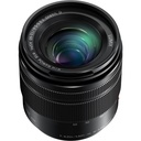 Panasonic Lumix G Vario 12-60mm f/3.5-5.6 ASPH. POWER O.I.S. Lens