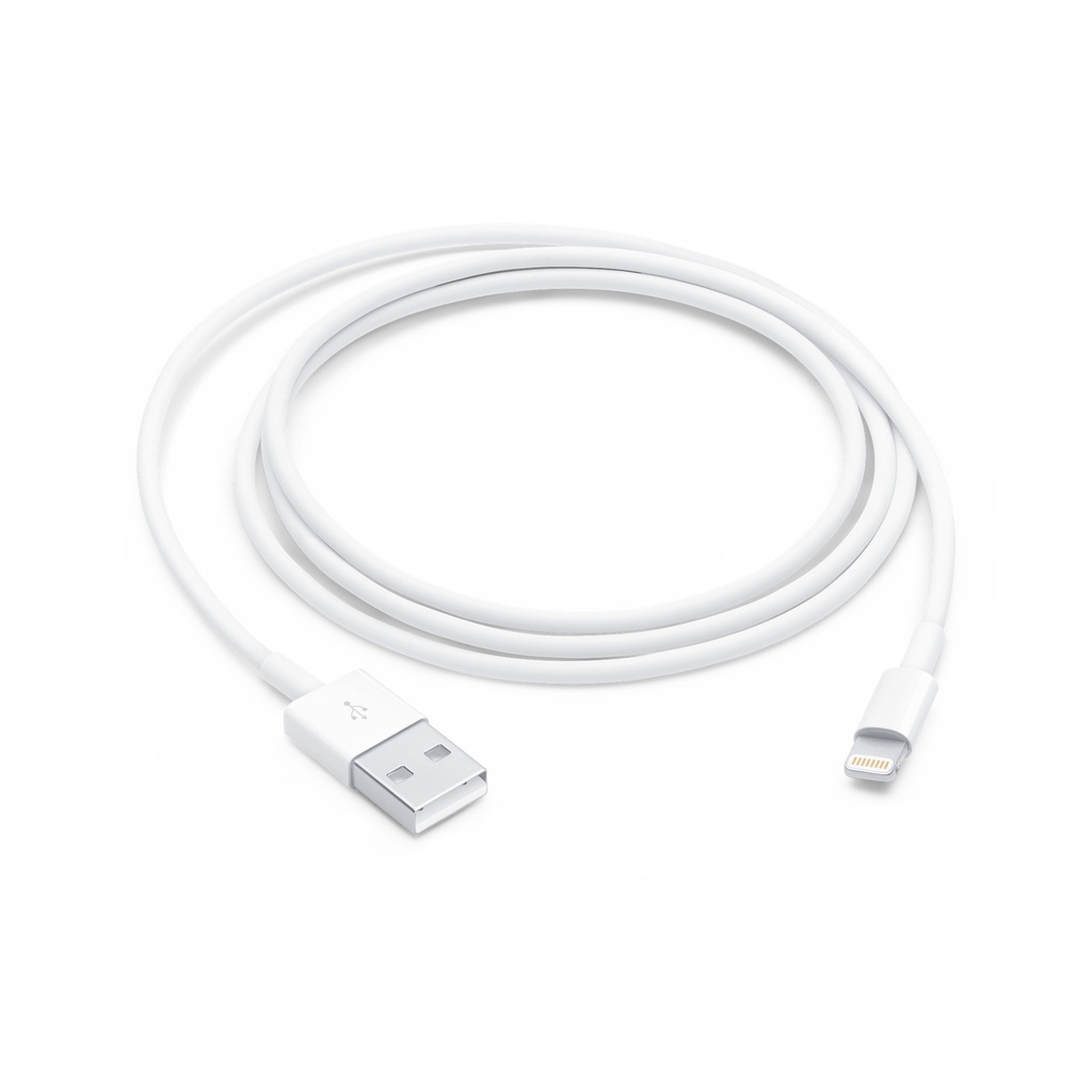 كابل أبل لايتنينغ إلى USB (1 متر)